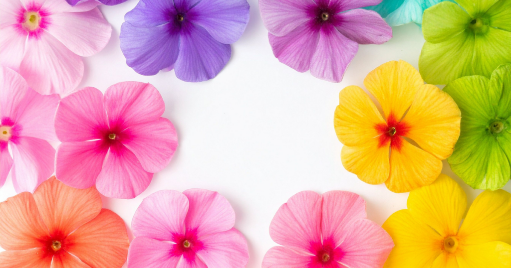 耳つぼカラーセラピー